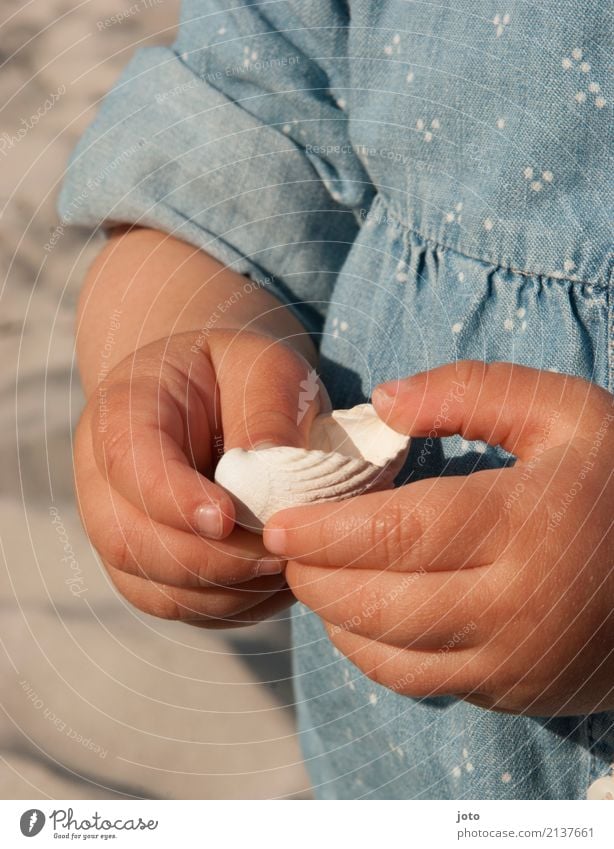 Ertasten Freude Zufriedenheit Spielen Ferien & Urlaub & Reisen Ausflug Sommer Sommerurlaub Strand Kindererziehung Bildung lernen Kleinkind Mädchen Kindheit Hand