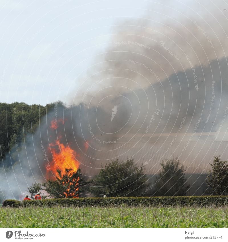 Feuer und Flamme... Feuerwehr Feuerwehreinsatz Mensch maskulin Mann Erwachsene 2 Pflanze Himmel Sommer Baum Feld Dorf Gebäude Scheune Dach Blick außergewöhnlich