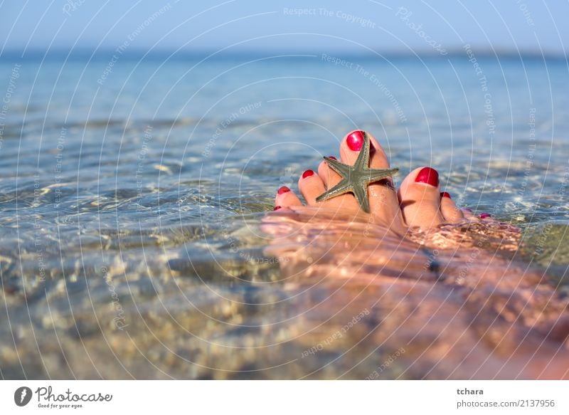 Sommer entspannen exotisch Nagellack Erholung Ferien & Urlaub & Reisen Strand Meer Dekoration & Verzierung Tapete Frau Erwachsene Natur Sand natürlich blau