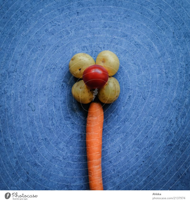 Anders-Blümchen Lebensmittel Gemüse Kartoffeln Möhre Tomate Ernährung Bioprodukte Vegetarische Ernährung Diät Slowfood Gesundheit Gesunde Ernährung Kinderspiel