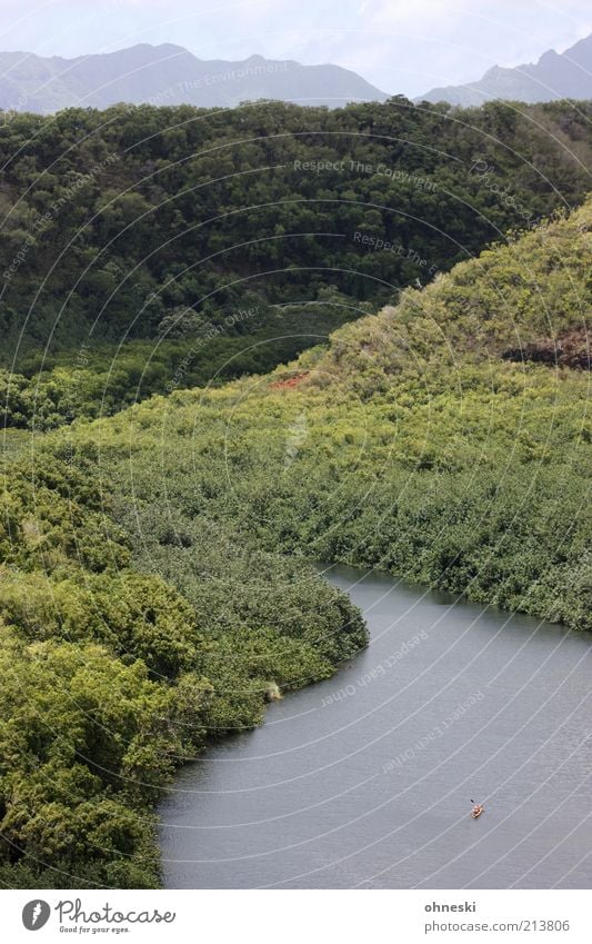 auf dem Wailua River Kajak Natur Landschaft Baum Wald Hügel Berge u. Gebirge Fluss gigantisch natürlich Kraft Willensstärke Tatkraft Leben Leistung Perspektive