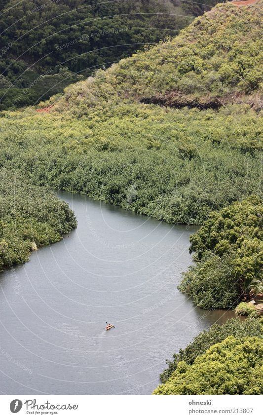 Kajak fahr´n Natur Landschaft Baum Wald Urwald Hügel Fluss Kraft Mut Tatkraft Leistung Ziel Farbfoto Außenaufnahme Totale Einsamkeit Sportler Vogelperspektive