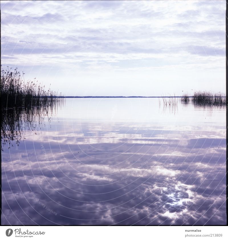 Stille Spüren Ferien & Urlaub & Reisen Tourismus Ausflug Meer Wellen Natur Landschaft Wasser Himmel Wolken Schönes Wetter Schilfrohr Küste Seeufer Bucht atmen