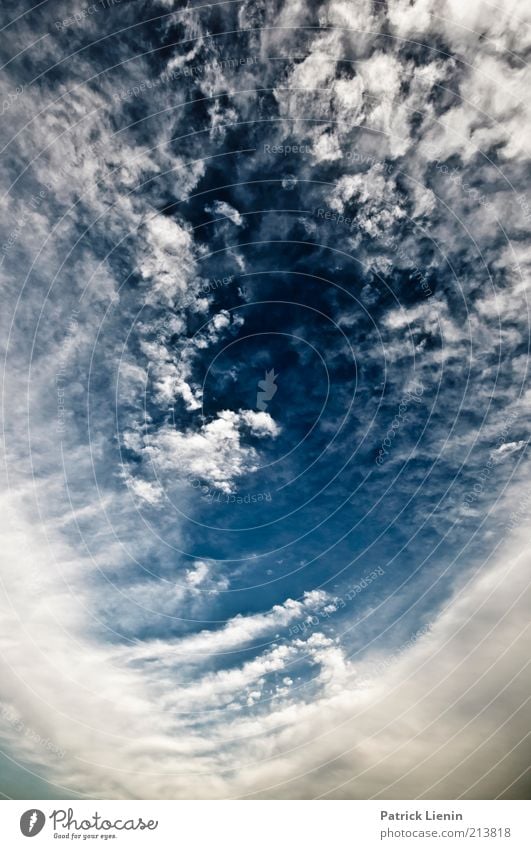 Surprise Umwelt Natur Urelemente Luft Himmel nur Himmel Wolken Klima Klimawandel Wetter Schönes Wetter Wind Blick Stimmung Freude Optimismus Wachsamkeit blau