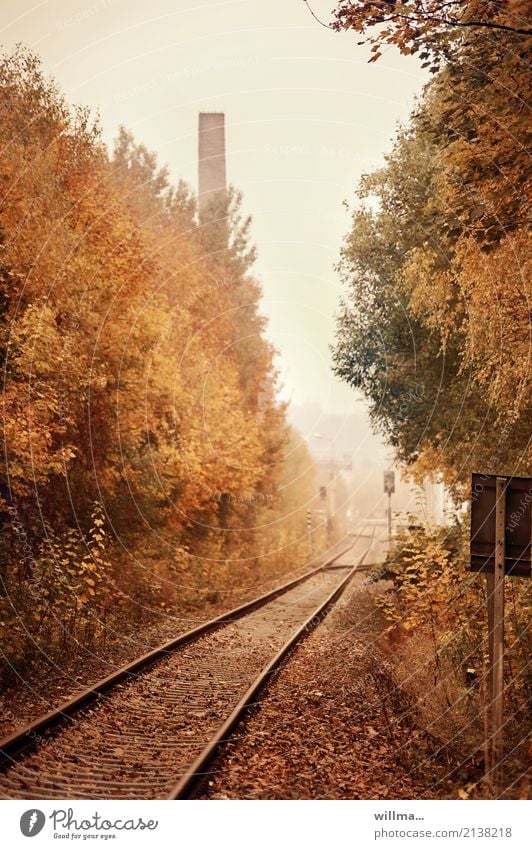 Zweigleisig fahren Bahnlinie Gleise Schienen Verkehrswege Bahnfahren Schienenverkehr herbstlich Straßenbahn Bahngleise S-Bahn Zugfahren Herbst Bahnschienen