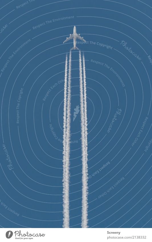 Alle Aluhüte fliegen hoooooch! Ferien & Urlaub & Reisen Tourismus Ferne Himmel Wolkenloser Himmel Schönes Wetter Luftverkehr Flugzeug hoch oben Geschwindigkeit