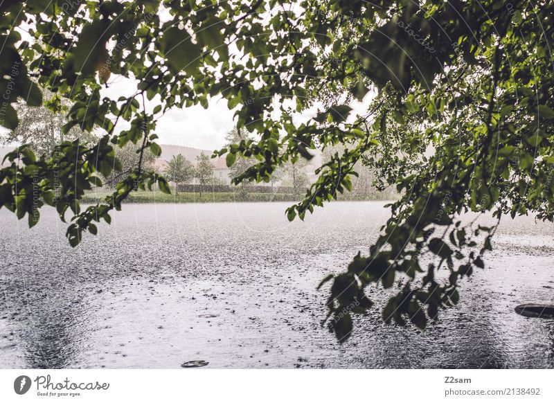 Sauwetter Abenteuer Natur Landschaft Wasser schlechtes Wetter Regen Sträucher Flussufer dunkel frisch kalt natürlich Einsamkeit Endzeitstimmung Idylle Klima