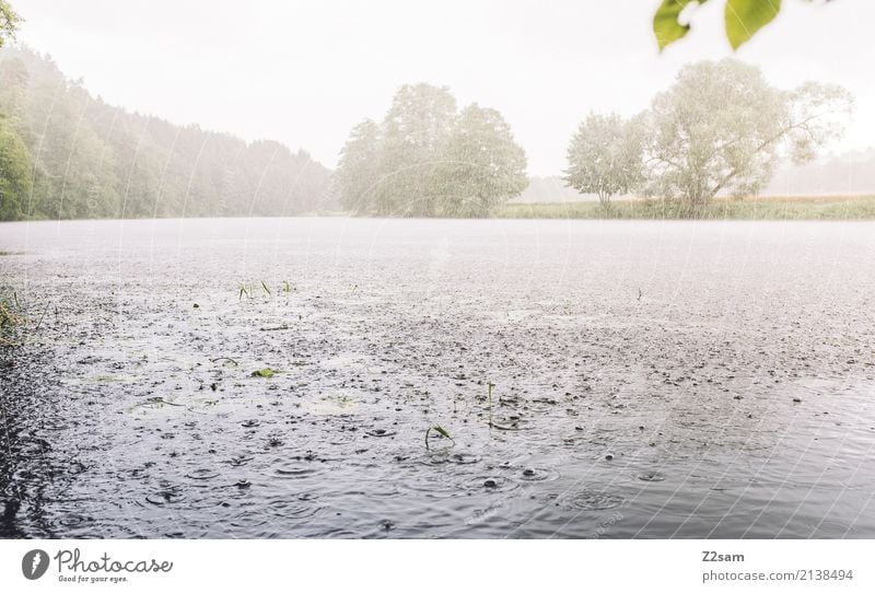 Die Welt geht schön unter Umwelt Natur Landschaft Sonne Sommer Schönes Wetter Baum Flussufer frisch natürlich Abenteuer Einsamkeit Endzeitstimmung Farbe Idylle