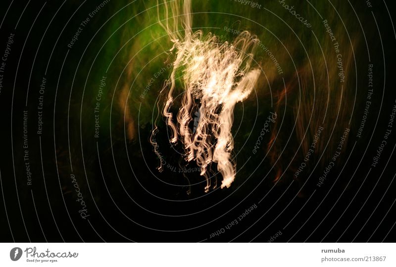 Licht-Gestalt Entertainment Energiewirtschaft Urelemente Zeichen Schleife außergewöhnlich grün schwarz weiß Gefühle Bewegung mehrfarbig Außenaufnahme Experiment
