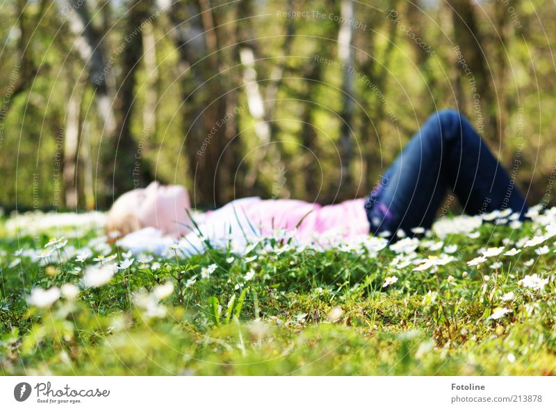 Für John Krempl Mensch feminin Kindheit Kopf Bauch Beine Umwelt Natur Landschaft Pflanze Urelemente Erde Frühling Baum Blume Gras Blüte Wiese Wald hell