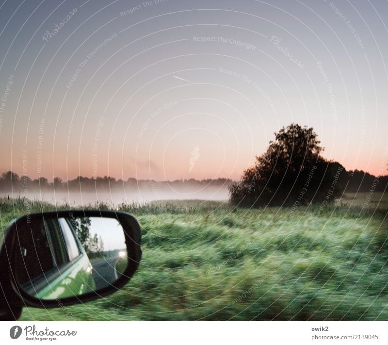 Überblick behalten Umwelt Natur Landschaft Pflanze Luft Wasser Wolkenloser Himmel Horizont Frühling Nebel Baum Gras Sträucher Seeufer Verkehr PKW Rückspiegel