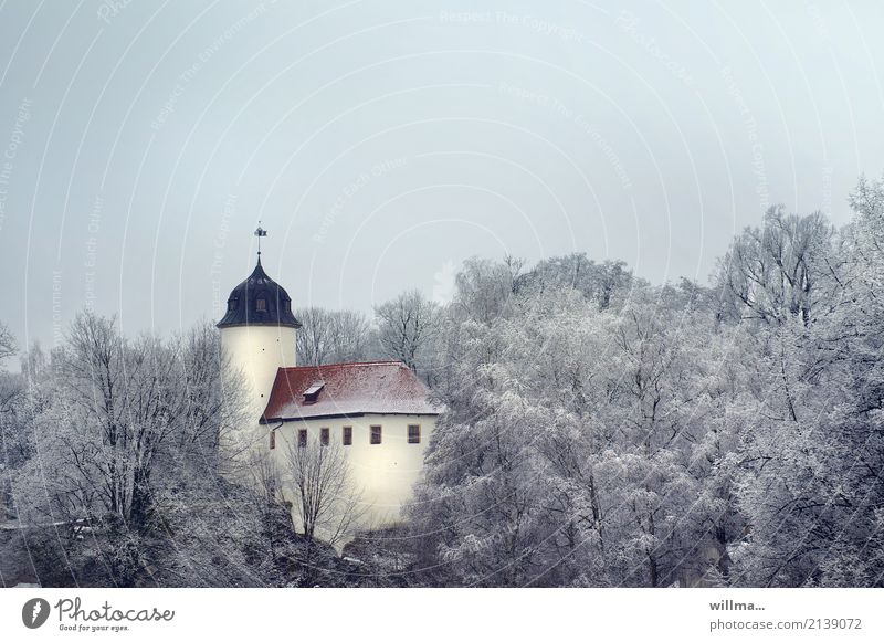 Burg Rabenstein im Winterwald Wald Chemnitz Burg oder Schloss Bauwerk Gebäude Architektur historisch Mittelalter Ausflugsziel Sehenswürdigkeit Burgturm Baum