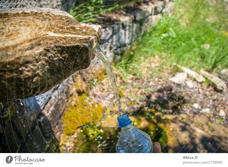 Natur Trinwasserquelle Lifestyle Gesunde Ernährung Sommer Berge u. Gebirge Umwelt Urelemente Erde Wasser Wassertropfen Sonnenlicht Klima Gras Moos Bach Oase