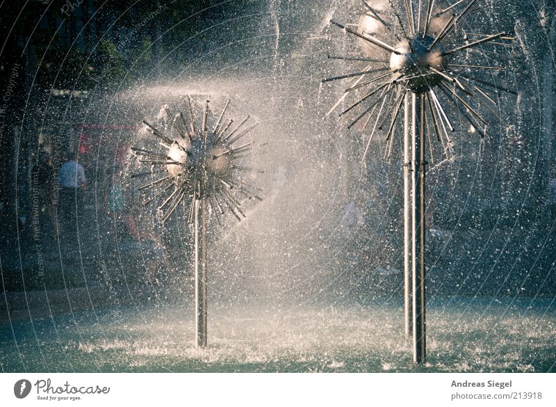 Pusteblumen zum Geburtstag Wasser Wassertropfen Dresden Stadtzentrum Brunnen Löwenzahn frisch Erfrischung Prager Strasse Gegenlicht Wasserspiel spritzen