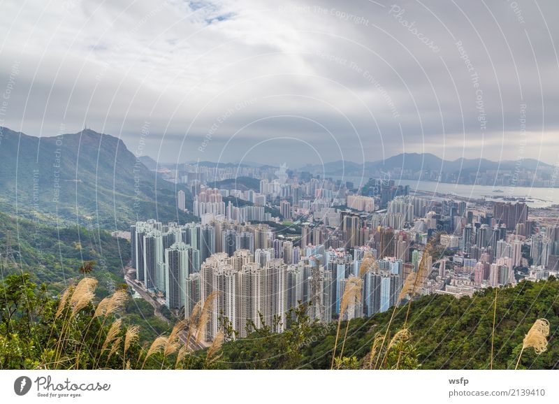 Hong Kong Panorama vom Lion Rock Ausflug Insel Berge u. Gebirge Natur Skyline Architektur bauen lion rock hill Aussicht China Hongkong Attraktion Kowloon