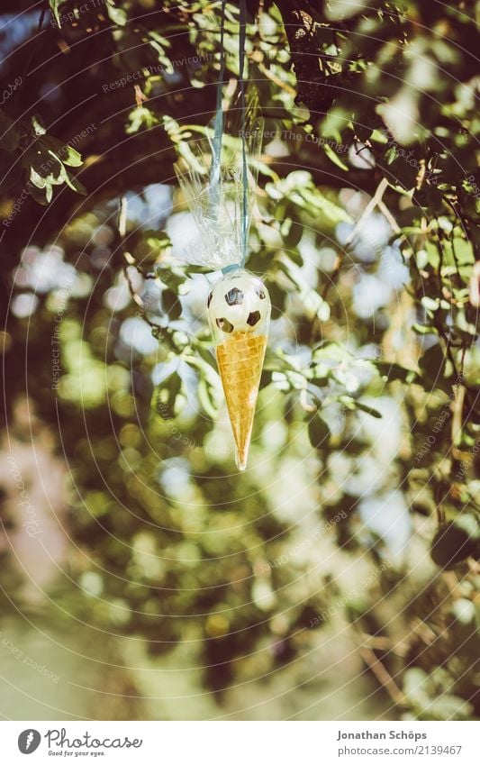 Zuckertütenbaum III Natur Garten Park Gefühle Freude Lebensfreude Vorfreude Begeisterung Beginn Erwartung Schule Einschulung Schultüte Süßwaren Ball Spielzeug