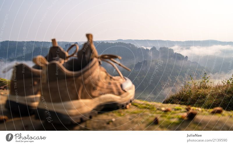 Wanderschuhe mit Aussicht ausblick Baum Berge u. Gebirge Bergsteigen Elbsandsteingebirge Erholung Felsen gehen Gipfel Herbst Landschaft Nationalpark Natur