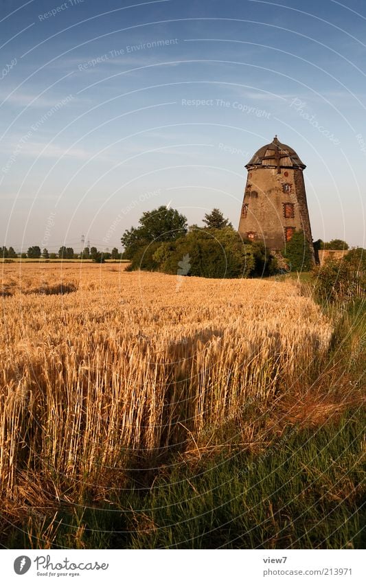 Spätsommer Umwelt Natur Landschaft Pflanze Himmel Wolken Schönes Wetter Nutzpflanze Feld Dorf Hütte Industrieanlage Ruine Fassade Sehenswürdigkeit alt