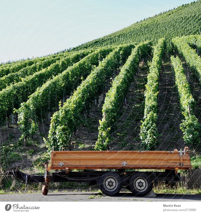 WeinWagen Stil Leben Feierabend natürlich Anhänger Weinlese Weinberg Berghang Hügel Berge u. Gebirge Rad Riesling Reihe Linie Strukturen & Formen Bremsklotz