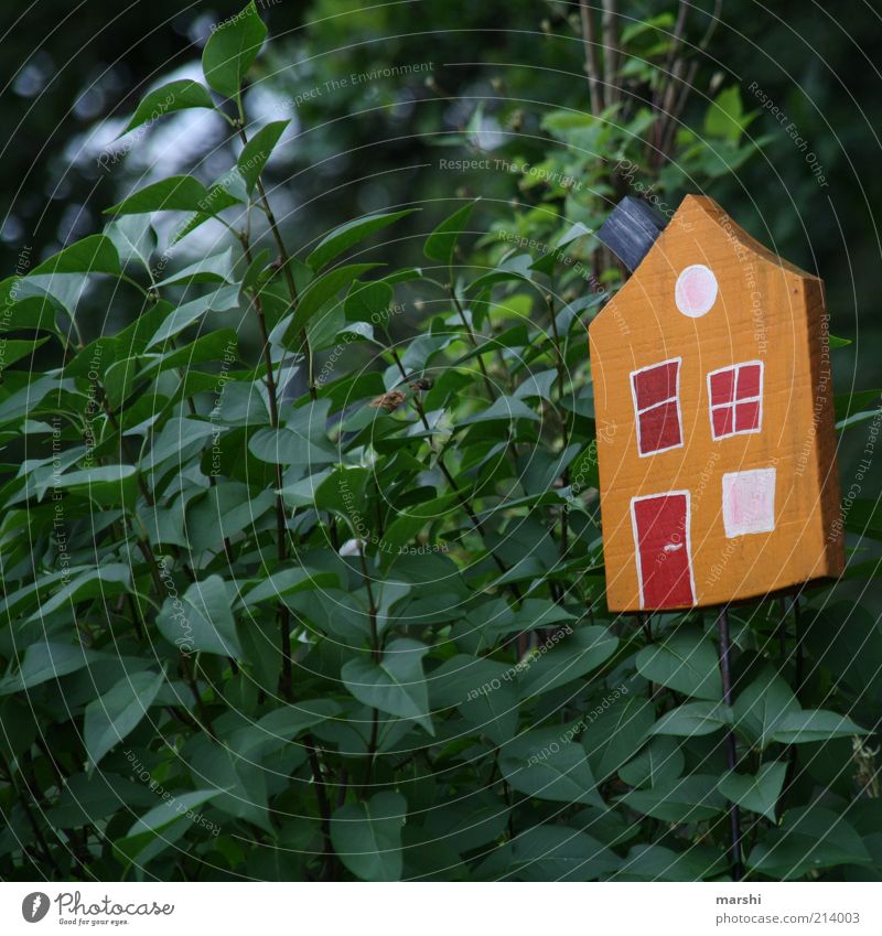 schöner Wohnen im Grünen Natur Pflanze Baum Sträucher Grünpflanze Haus grün Hütte Holzhaus Häusliches Leben Futterhäuschen Dekoration & Verzierung Garten klein