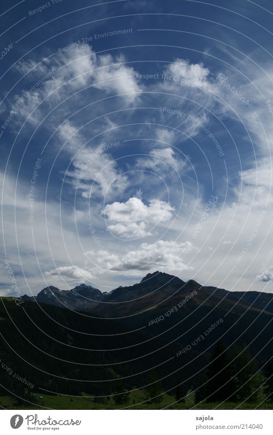 wolkensprache Umwelt Natur Landschaft Pflanze Himmel Wolken Sommer Schönes Wetter Baum Alpen Berge u. Gebirge Jakobshorn Gipfel Schweiz Europa blau grün