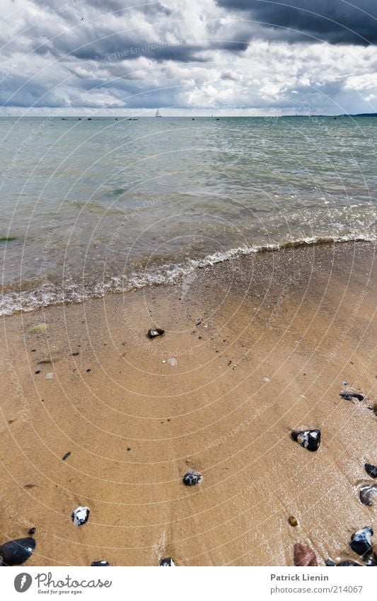 Strandspaziergang Umwelt Natur Landschaft Urelemente Luft Wasser Himmel Wolken Gewitterwolken Sommer Klima Wetter schlechtes Wetter Wind Wellen Küste Ostsee