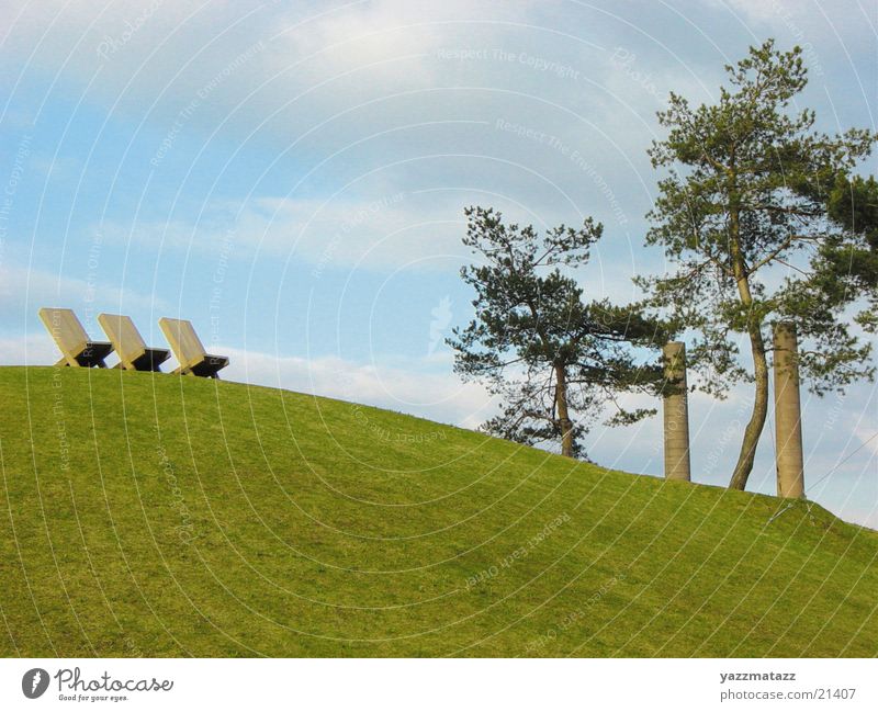 Geordnete Verhältnisse Gras Baum Berge u. Gebirge Himmel Stuhl