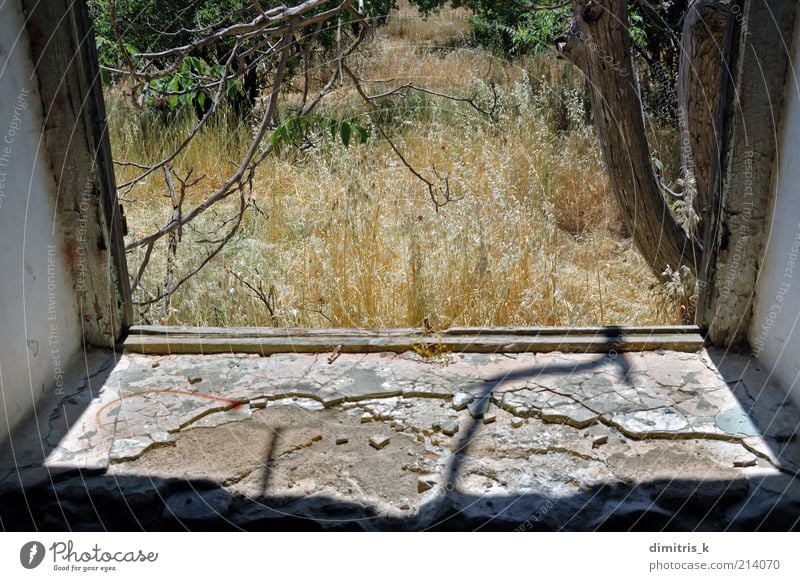 Naturszene Landschaft Pflanze Baum Menschenleer Haus Ruine Gebäude Fenster alt Einsamkeit Verfall Zeit Verlassen Verwesung ländlich gebrochen Kofferraum