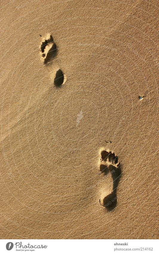 Sandspuren Ferien & Urlaub & Reisen Tourismus Sommer Sommerurlaub Strand Meer Warmherzigkeit friedlich Hoffnung Glaube Sehnsucht Heimweh Fernweh Einsamkeit