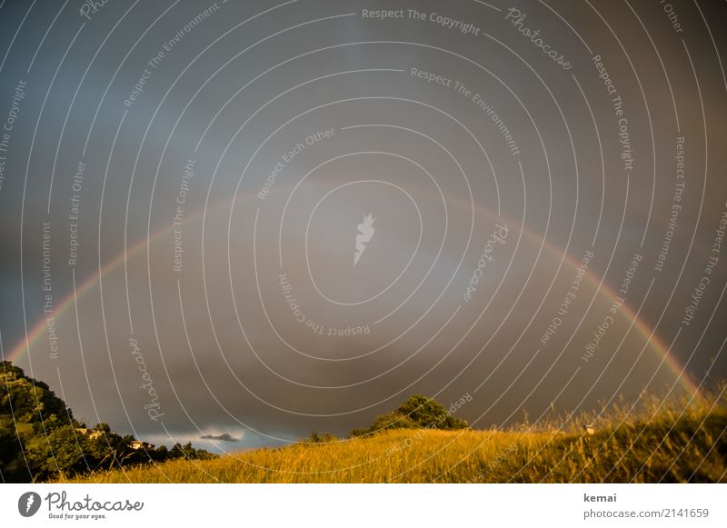 Bogen Leben harmonisch Wohlgefühl Zufriedenheit Sinnesorgane Erholung ruhig Freizeit & Hobby Ausflug Abenteuer Ferne Freiheit Umwelt Natur Landschaft Himmel