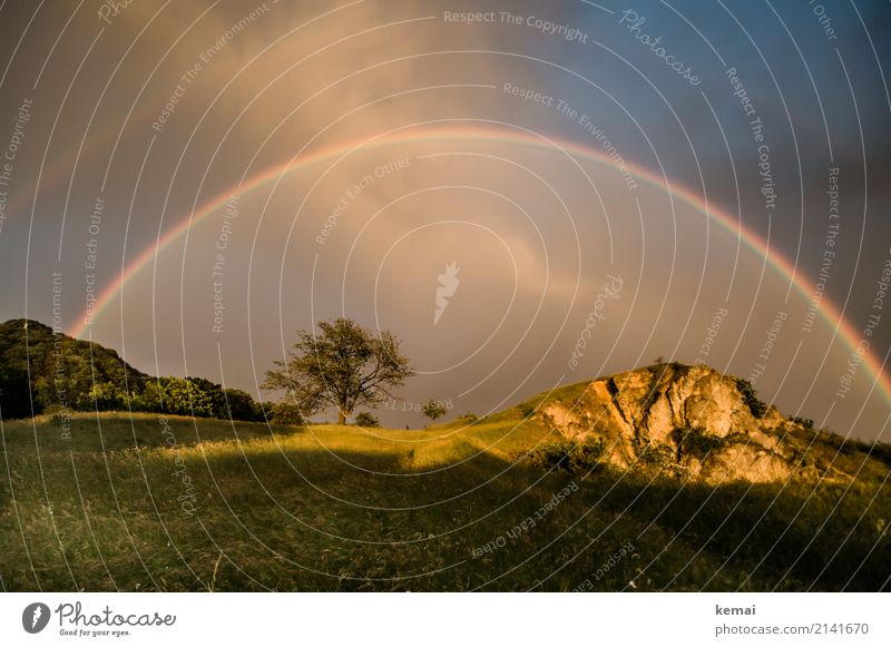 The full monty Leben harmonisch Wohlgefühl Zufriedenheit ruhig Ausflug Abenteuer Freiheit Umwelt Natur Landschaft Himmel Gewitterwolken Sonnenlicht Sommer