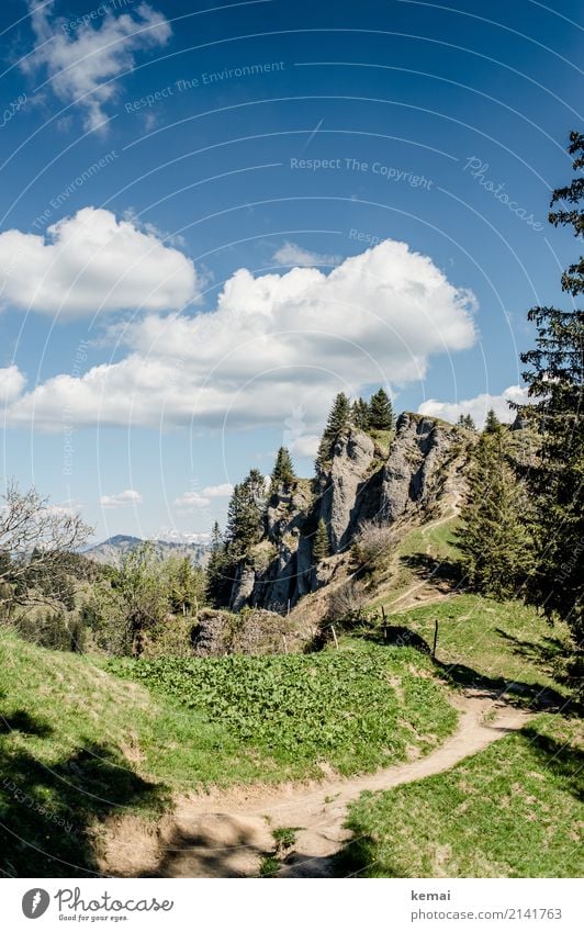 Pfad in den Bergen Leben harmonisch Wohlgefühl Zufriedenheit Sinnesorgane Erholung ruhig Freizeit & Hobby Ferien & Urlaub & Reisen Tourismus Ausflug Abenteuer