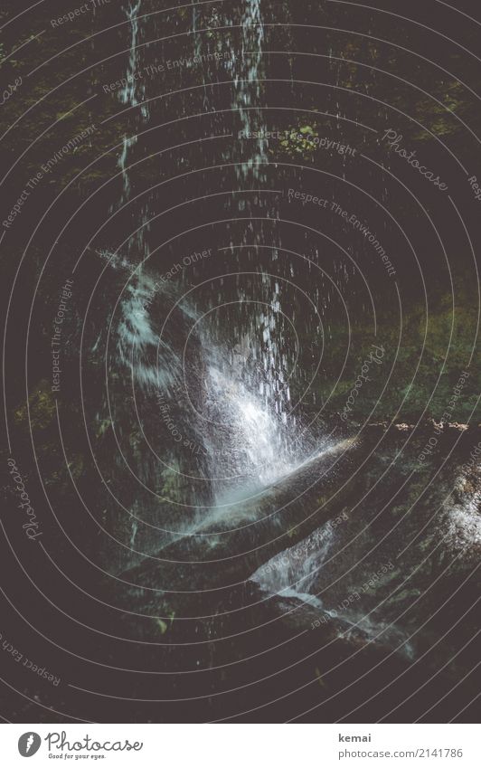 Wasserfall Freizeit & Hobby Ausflug Abenteuer Umwelt Natur Urelemente Wassertropfen Moos Baumstamm Felsen Stein Holz authentisch dunkel glänzend nass Stimmung