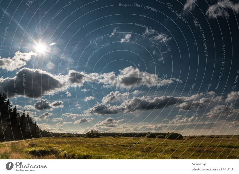 Ab nach Hause... Ferien & Urlaub & Reisen Tourismus Ausflug Abenteuer Ferne wandern Natur Landschaft Pflanze Himmel Wolken Sonne Sonnenlicht Sommer