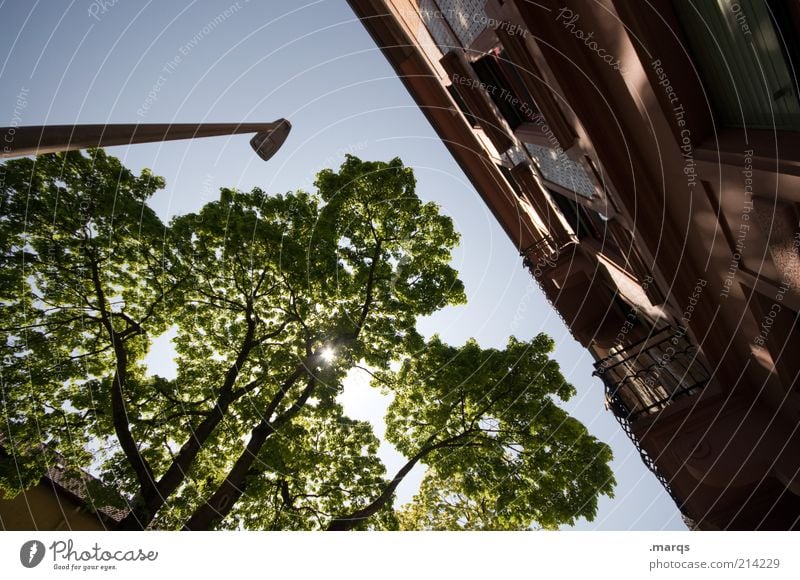 Always the Sun Lifestyle Häusliches Leben Laterne Wolkenloser Himmel Schönes Wetter Baum Stadt Haus Gebäude Fassade leuchten groß schön Optimismus Erholung