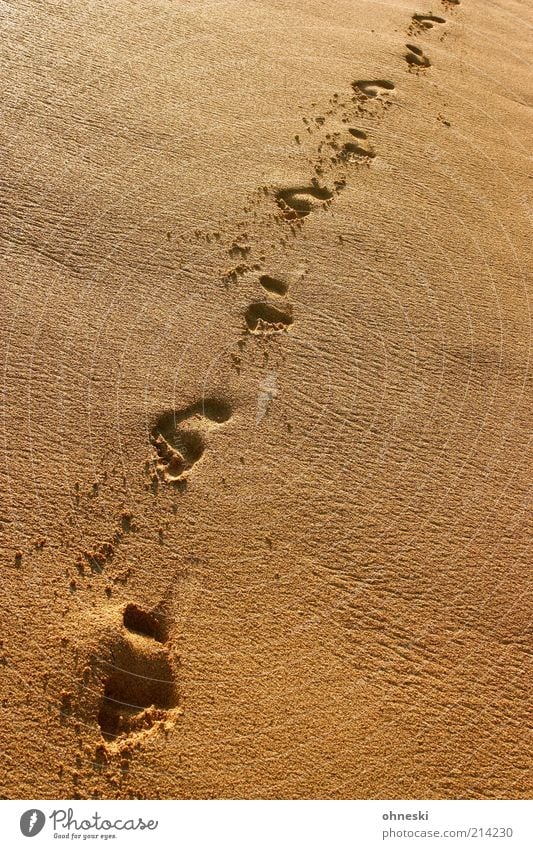 Walk the line Ferien & Urlaub & Reisen Sommer Sommerurlaub Strand Meer Fuß Fußspur Küste Sand friedlich Hoffnung Sehnsucht Fernweh Einsamkeit Freiheit Identität