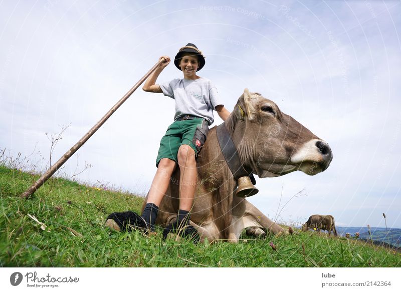 Hirtenbub Tourismus Berge u. Gebirge Landwirtschaft Forstwirtschaft 1 Mensch Umwelt Natur Landschaft Sommer Feld Alpen Tier Haustier Nutztier Kuh Fröhlichkeit