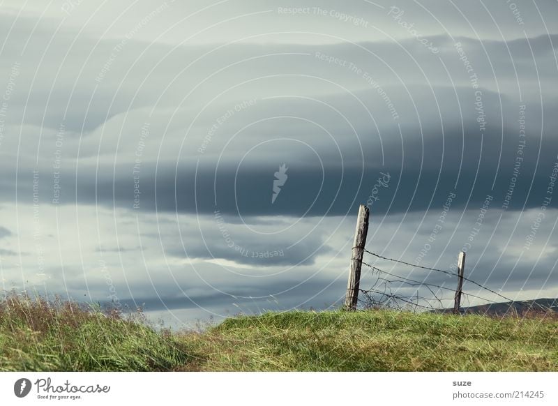 Grenzenlos Sommer Natur Landschaft Urelemente Luft Himmel Wolken Gras Wiese Holz außergewöhnlich dunkel kalt blau grün Stimmung Zaun Weide Gehege gefangen