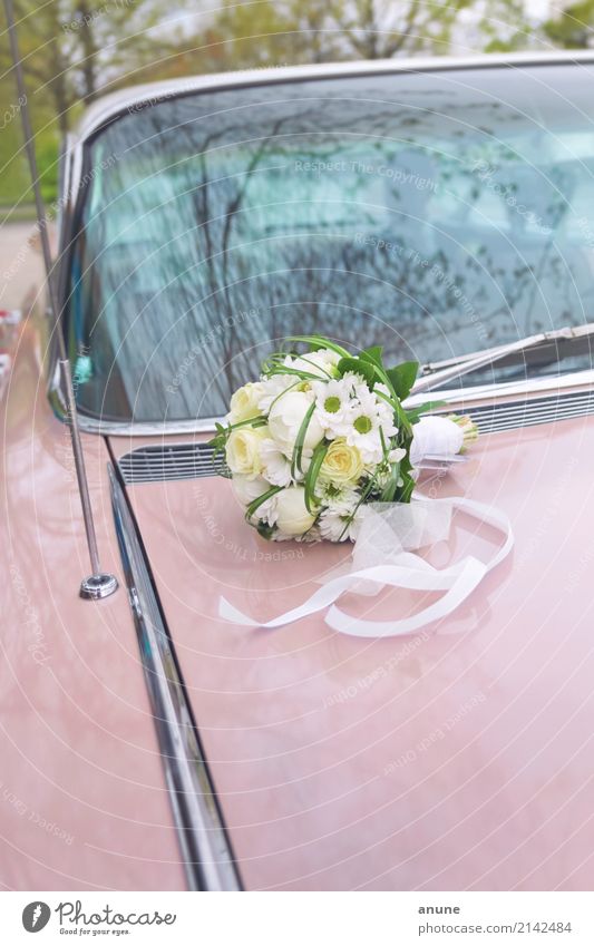 Hochzeitscadillac Feste & Feiern PKW Oldtimer Blumenstrauß ästhetisch außergewöhnlich retro Vertrauen Zusammensein Treue Romantik Ausdauer Beginn Partnerschaft