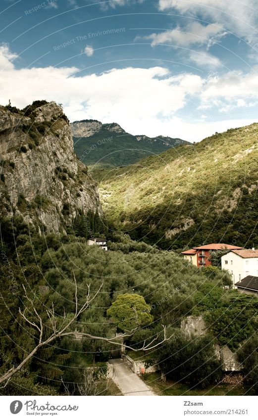 Richtung Heimat Umwelt Natur Landschaft Himmel Wolken Sommer Baum Sträucher Felsen Berge u. Gebirge Haus Blühend Erholung genießen Ferien & Urlaub & Reisen