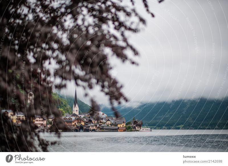 Blick auf Hallstatt im Salzkammergut Natur Nebel Baum Wald Österreich Europa Dorf grün weiß Weltkulturerbe Bundesland Oberösterreich Farbfoto hallstatt