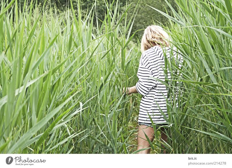 Im Schilf Freude Glück Zufriedenheit Erholung ruhig Freizeit & Hobby Ausflug Sommer Sommerurlaub feminin Junge Frau Jugendliche 1 Mensch 13-18 Jahre Kind Natur