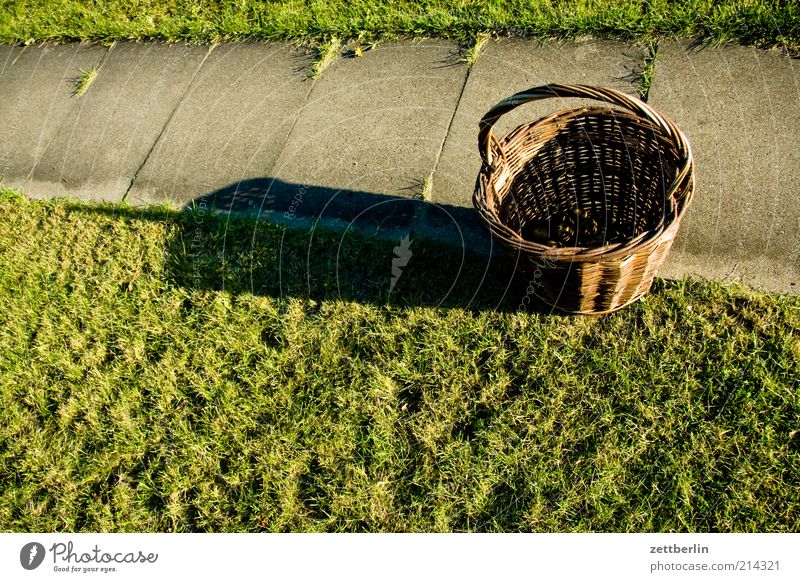 Ernte Natur Nutzpflanze tragen Korb Wege & Pfade voll leer Erntedankfest wenige stehen Garten Gartenweg Kleingartenkolonie Selbstständigkeit Weidenkorb