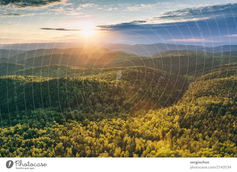 Sonnenstrahl über dem Wald Umwelt Natur Landschaft Himmel Wolken Gewitterwolken Sonnenaufgang Sonnenuntergang Frühling Sommer Herbst Schönes Wetter Park Hügel