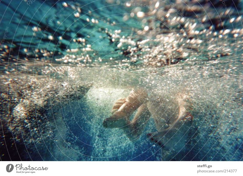 Poolparty? Freude Sommer Sommerurlaub Beine Fuß Spielen Fröhlichkeit verrückt wild Lebensfreude Coolness Freundschaft Zusammensein Schwimmen & Baden springen