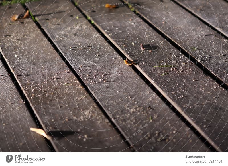 Dielenstaub Dielenboden Holzfußboden dreckig Staub Sand staubig Fuge Boden Gedeckte Farben Außenaufnahme Abend Nacht Kunstlicht Licht Kontrast Menschenleer