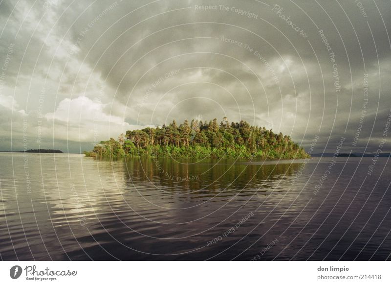 lough corrib Ausflug Ferne Insel Wellen Umwelt Natur Wolken Gewitterwolken Sommer Herbst Unwetter Baum Seeufer Lough corrib ruhig Idylle Mittelpunkt Stimmung