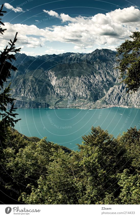 von oben herab Umwelt Natur Landschaft Himmel Wolken Sommer Baum Sträucher Wald Felsen Alpen Berge u. Gebirge Gipfel See Gardasee Erholung genießen