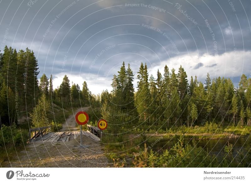 Augen zu und durch Ferien & Urlaub & Reisen Ausflug Freiheit Expedition wandern Umwelt Natur Landschaft Wolken Gewitterwolken Sommer Wetter Wald Fluss