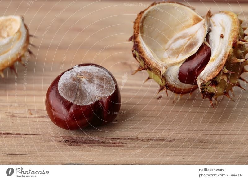 Rosskastanie in der Schale Natur Herbst Pflanze Baum Grünpflanze Nutzpflanze Kastanie Nuss Schalen & Schüsseln Hülle Stachel Tisch einfach glänzend natürlich